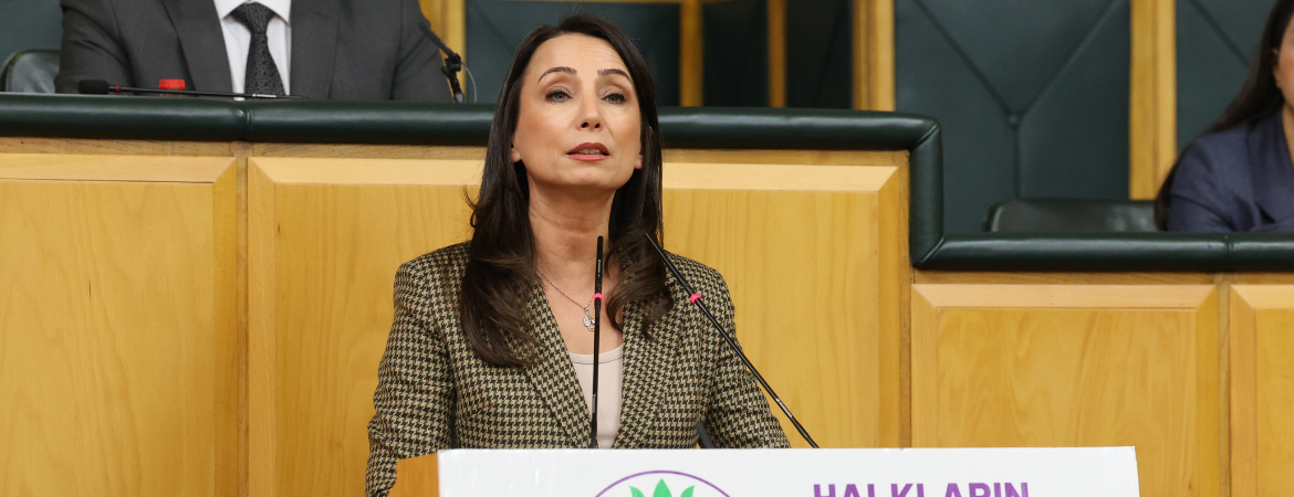 Hatimoğulları: 2026 bütçesine karşı emek ve barış için bütçeyi savunmaya devam edeceğiz