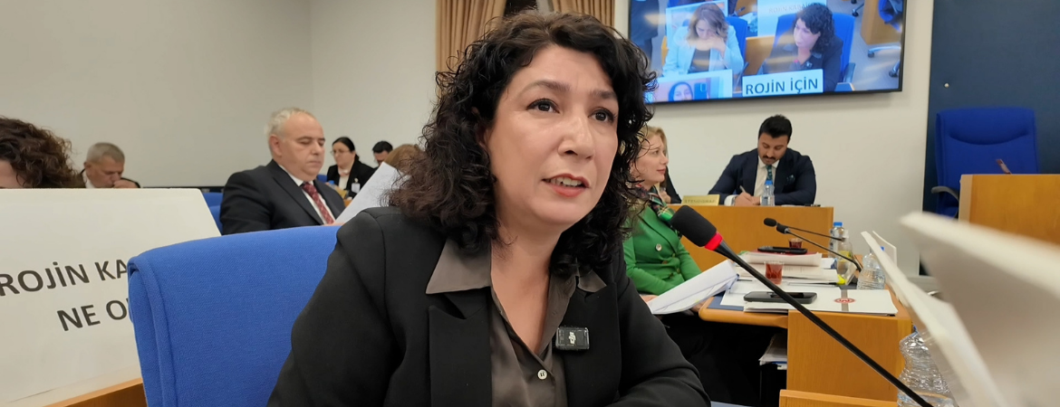 Halide Türkoğlu: Bütçe toplumsal cinsiyet eşitliğini güçlendirecek bir perspektifle hazırlanmalı