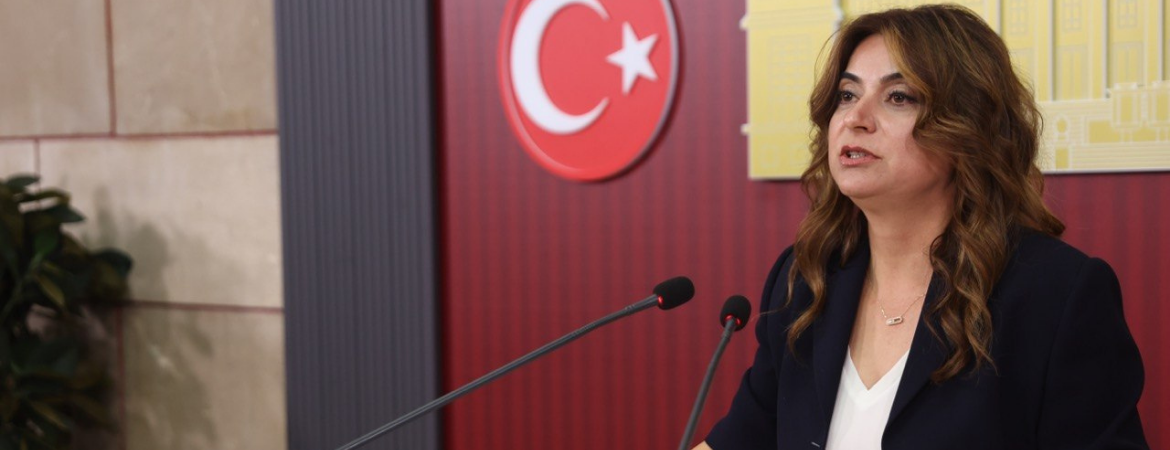 Koçyiğit: Söz Meclis’indir, gelin kapsamlı bir çerçeve yasayı Meclis tatile girmeden çıkaralım