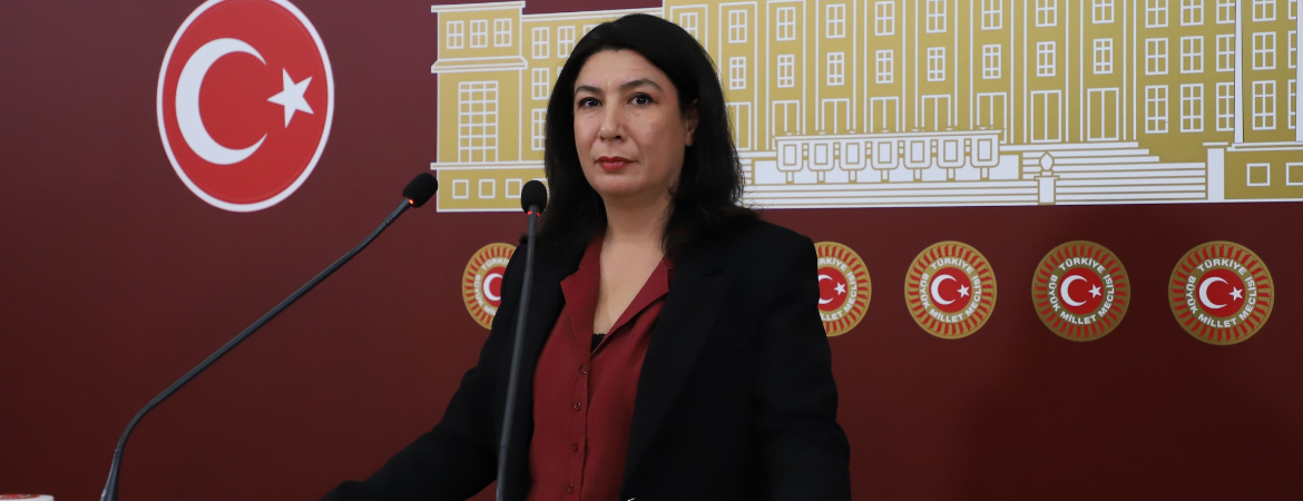 Halide Türkoğlu: Gülistan Doku davasında devlet kurumlarının işbirliğiyle bir suçun nasıl örtülebileceği açığa çıkmıştır; bunun adı özel savaştır