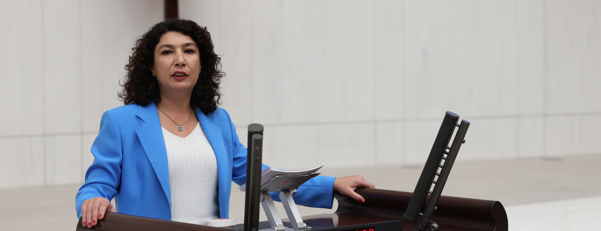 Türkoğlu: Kadına ayrılan bütçe “erkekliği besleme” bütçesidir