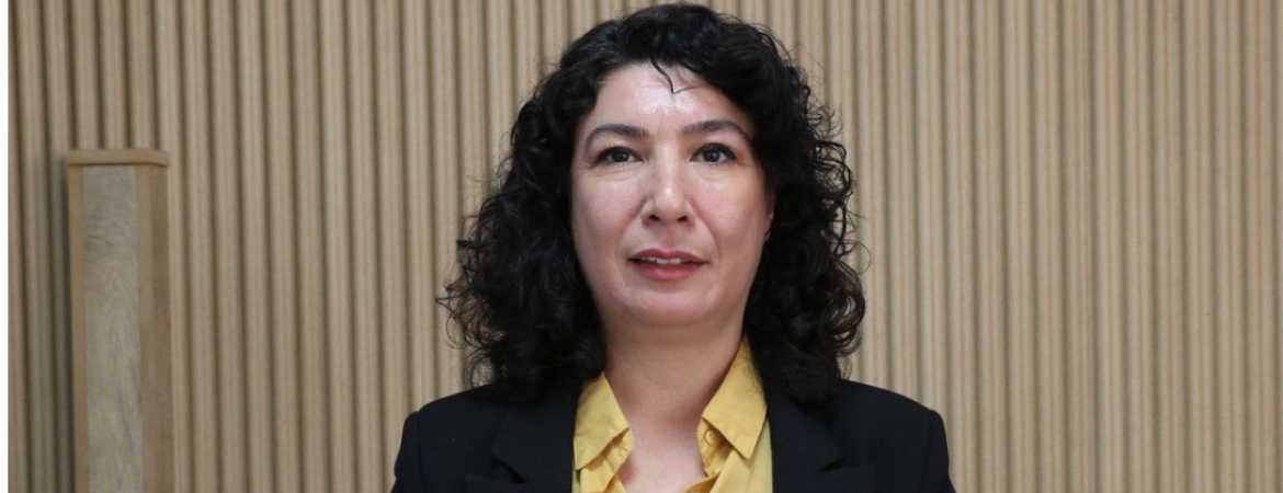 Halide Türkoğlu: Kürt sorununun demokratik çözümü için 4 Ocak’ta Amed’de mücadelenin sesini yükseltelim