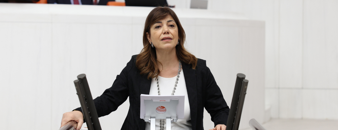 Beştaş: Bu ülkede ne zaman barışın bütçesi yapılırsa, halkın yoksulluğu, o zaman sona erer