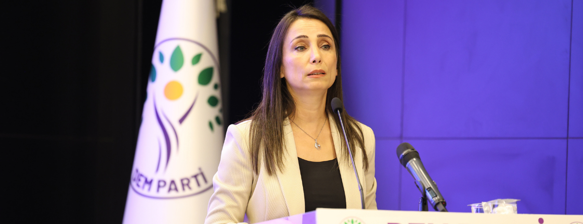 Hatimoğulları: Şam merceğinden Türkiye'deki çözüm sürecine bakılamaz, barış bölgede Türkiye'nin stratejisi olmalıdır