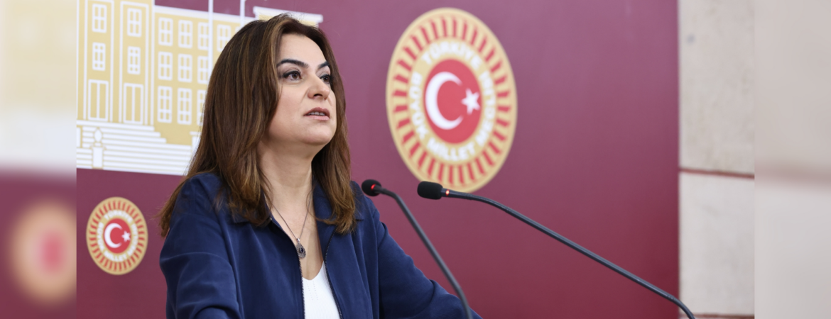 Koçyiğit: İktidarın Meclis'ten başlatarak sokağa taşırdığı büyük bir linç kültürü ile karşı karşıyayız