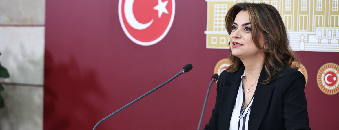 Koçyiğit: Meclis'te demokratik muhalefet hakkımızı sonuna kadar kullanmaya devam edeceğiz