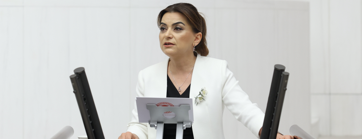 Koçyiğit: İkinci yüzyılın tarihsel sorumluluğu cumhuriyeti güçlü bir demokrasi, gerçek adalet ve onurlu barışla buluşturmaktır