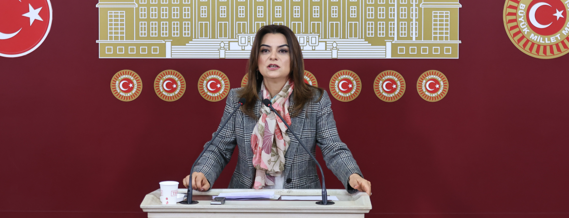 Koçyiğit: Kars Kağızman’a kayyım atanması halkların iradesine yeni bir darbedir