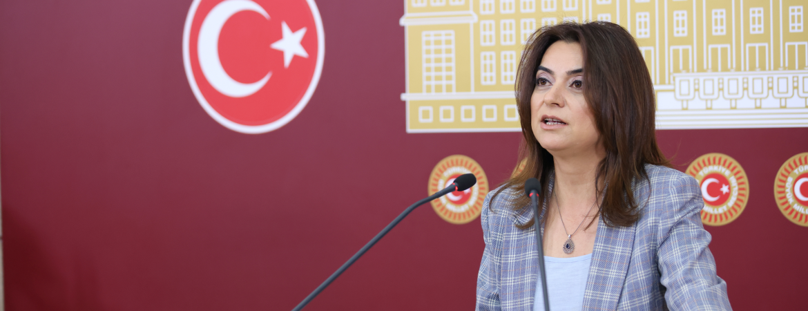 Koçyiğit: DEDAŞ’ın suçunu örtbas etmeye çalışanların DEDAŞ’la ne gibi bir çıkar ilişkisi var?