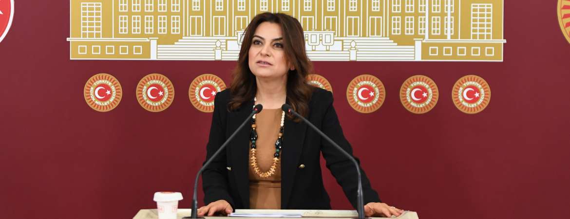 Koçyiğit: 8. Yargı Paketi toplum yararına değil siyasi çıkar amaçlıdır