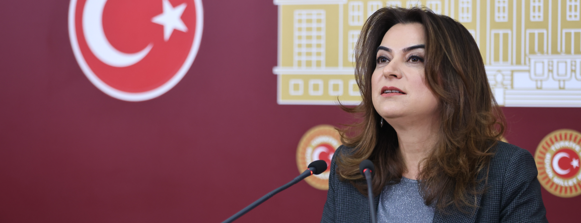 Koçyiğit: Ülkede adalet yok ama Adalet Akademisi üzerinden bir algı oluşturulmaya çalışılıyor