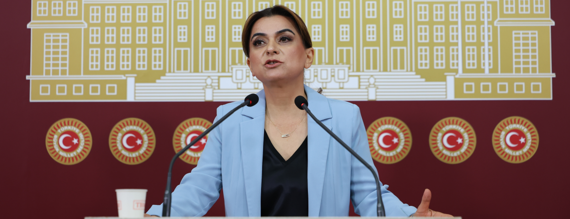 Koçyiğit: Barışın yasaya, Meclis’in de barış mesaisi yapmaya ihtiyacı var