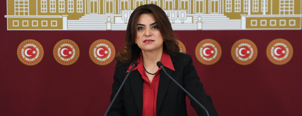 Koçyiğit: Bazı kesimler Kürtçe üzerinde bir ret ve inkar politikasının olmadığını söyleme aymazlığına kapılıyor