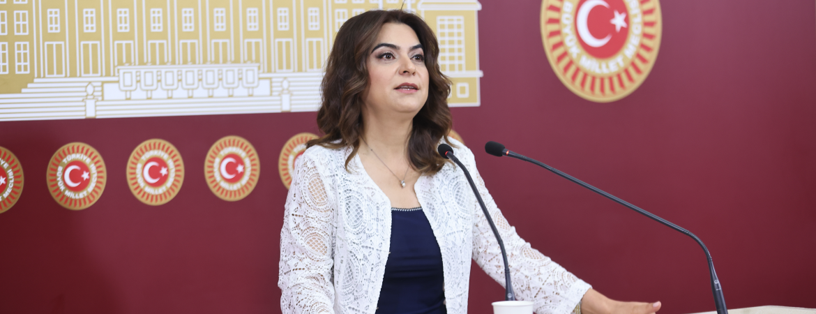 Koçyiğit: Meclis'teki komisyon sürecin hukuksal teminatını sağlamalıdır