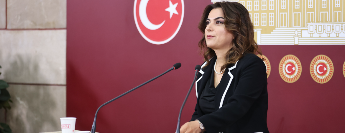 Koçyiğit: Toplumun en önemli ihtiyacı barıştır, Meclis barış için elini taşın altına koymalıdır