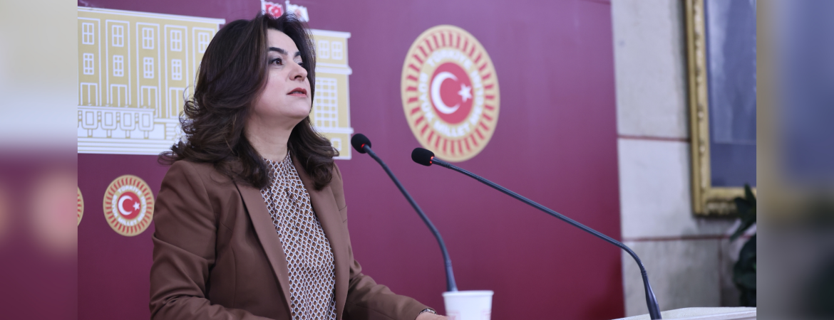 Koçyiğit: Meclis Komisyonu barışın ve demokratik toplumun kurucu adımını atma imkanına sahip