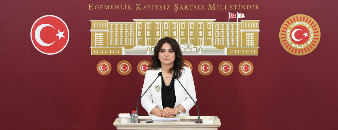 Koçyiğit: Bizler açısından bu sadece rapor yazma meselesi değildir, demokratik bir gelecek perspektifidir