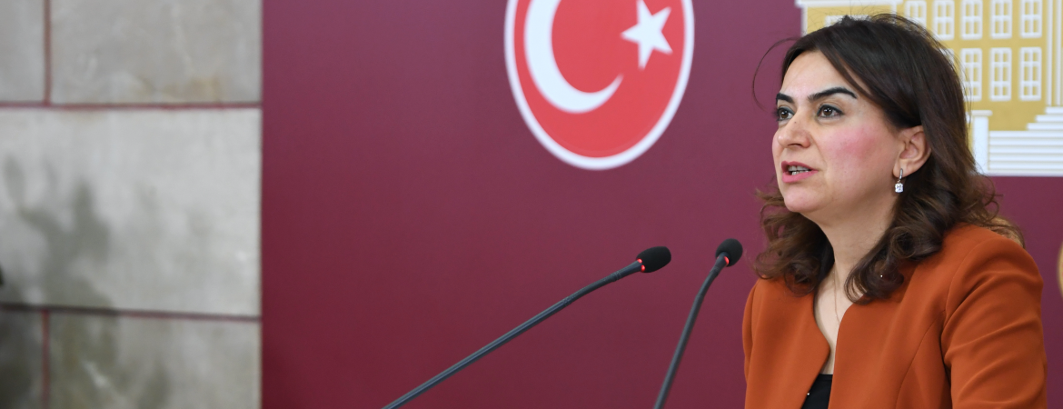 Koçyiğit: İşsizlik Sigortası Fonunun sermaye ve patronlar tarafından yağmalanmasının yasasını getiriyorlar