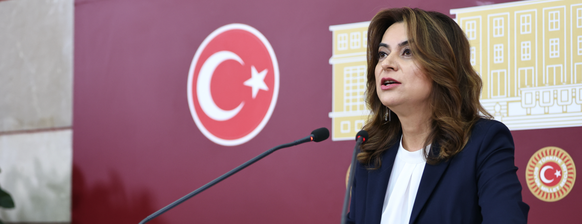 Koçyiğit: Tecrit yerine çözüm aklını işletmek bu ülke halklarının ortak çıkarınadır