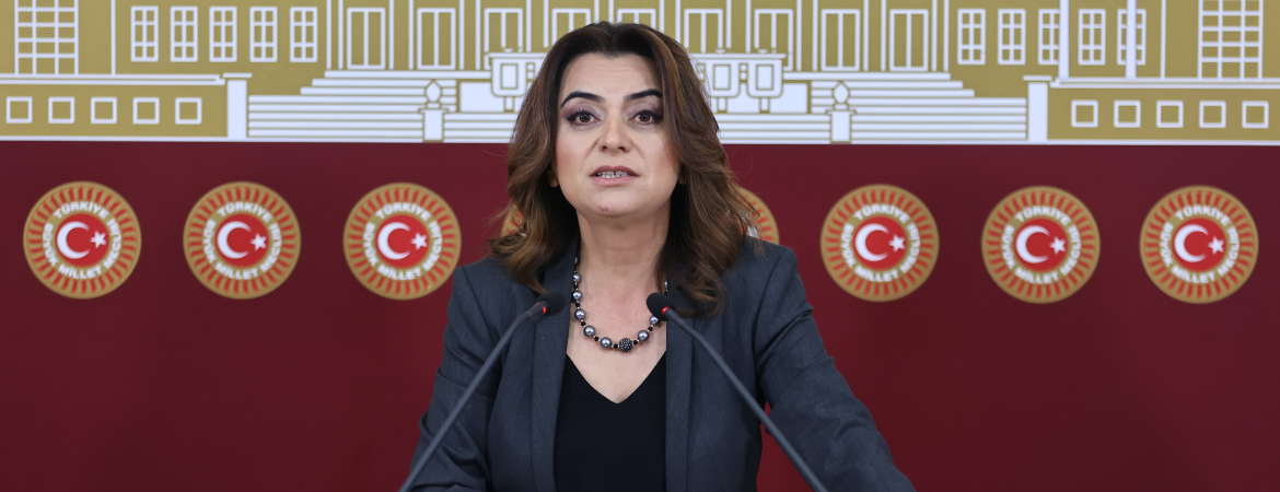 Koçyiğit: İç Güvenlik Paketiyle umumi müfettişliği kalıcı hale getirmeye, kayyım rejimine yasal kılıf uydurmaya çalışıyorlar