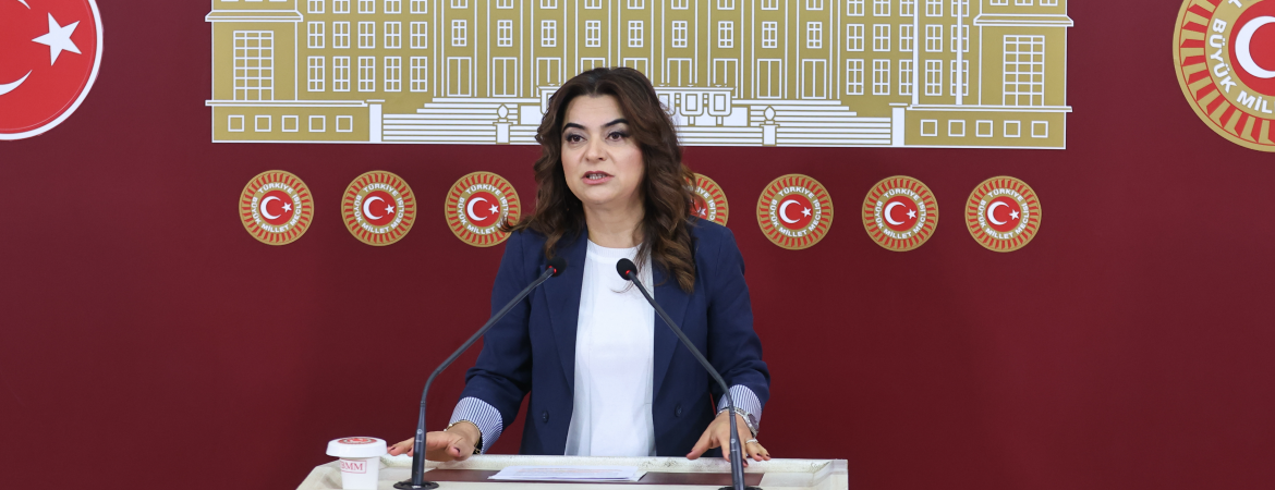Gülistan Kılıç Koçyiğit: İktidarın uygulamaları nedeniyle herkeste koskoca bir güvensizlik duygusu var