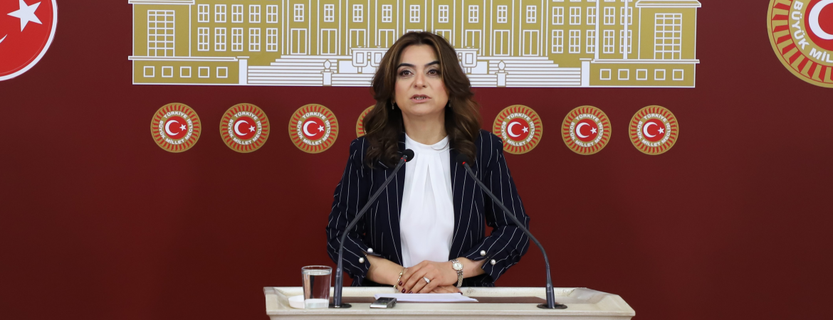 Koçyiğit: Toplumsal barışımız olmadığı için hayatımızın her anında şiddet sarmalı var