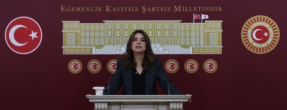 Koçyiğit: Barış için atılacak yasal adımlar demokrasinin de güvencesi olacaktır