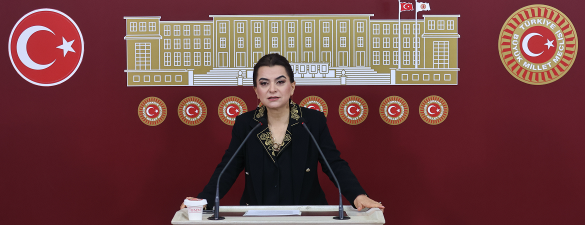 Koçyiğit: Demokratik bir Suriye için en önemli sorumluluklardan biri Türkiye'ye düşüyor