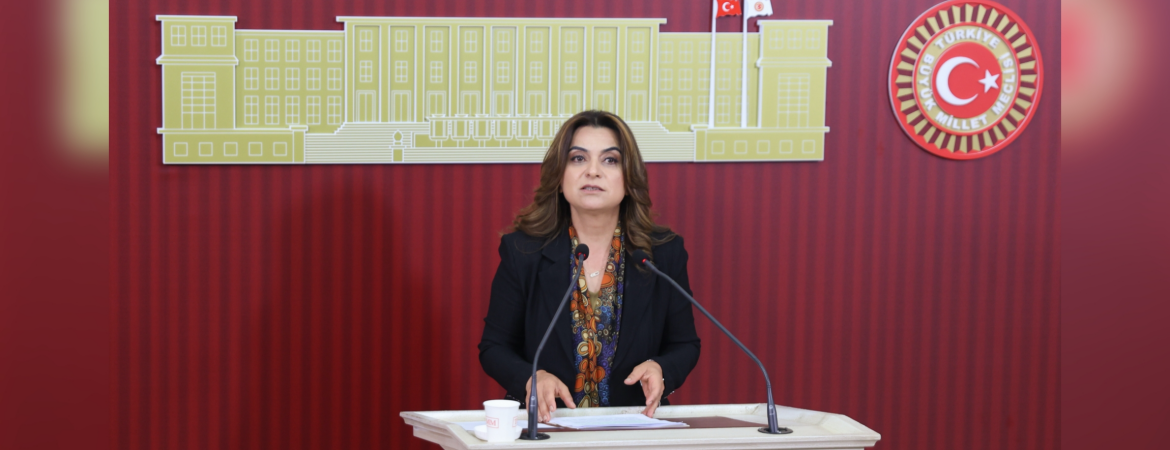 Koçyiğit: Çerçeve yasa Türkiye’nin gelecek projeksiyonunu önümüze koyacak önemli bir eşiktir