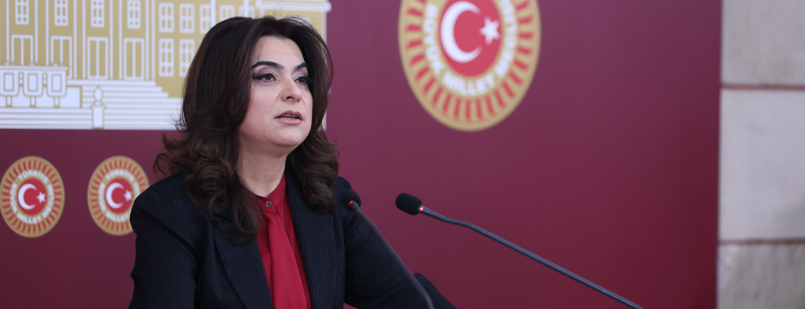 Koçyiğit: Sürecin yasal çerçeveden yoksun ilerlemesi mümkün değil