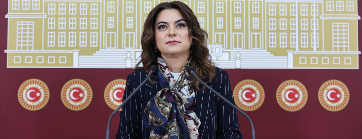 Koçyiğit: Demokrasi bir bütündür, Kürt sorunu çözülmeden Türkiye demokratikleşemez