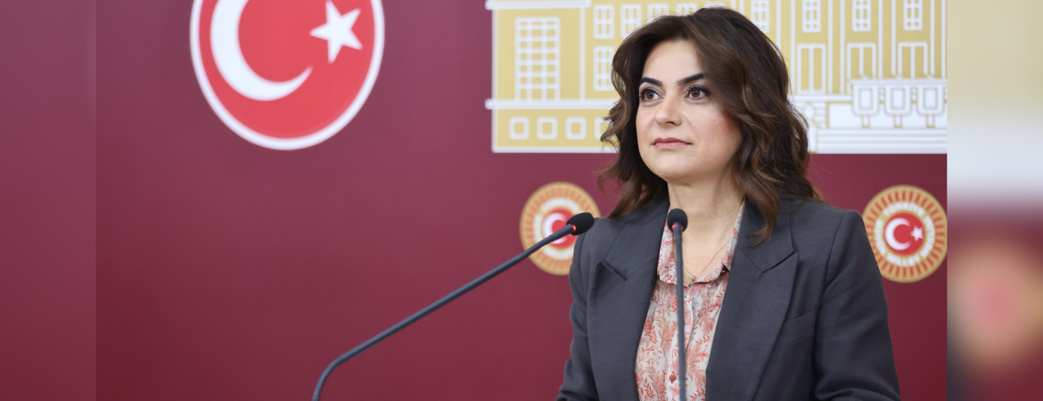 Koçyiğit: İHA-SİHA teknolojisini niye yangınlarla mücadelede kullanmıyorsunuz?