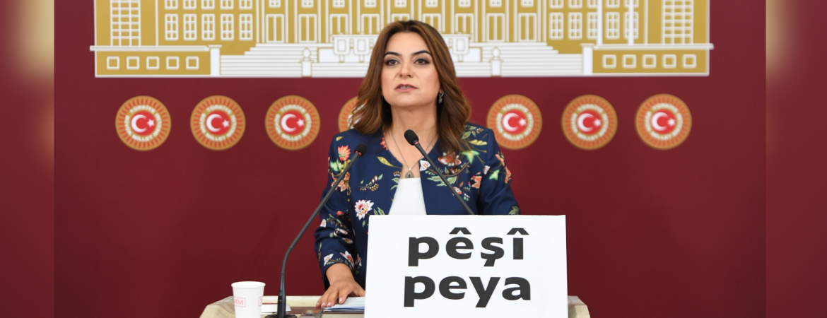 Koçyiğit: Kürt diline ve kültürüne yönelik saldırılar Kürtleri demokratik siyaset gerçeğinden koparmak için yapılıyor