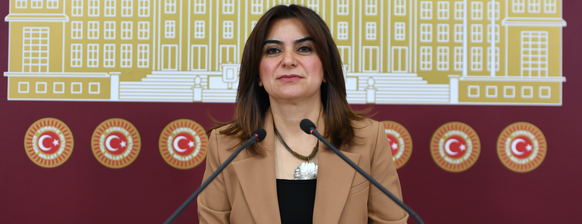 Koçyiğit: Yargıtay Meclis ve halka da parmak sallıyor, bunu kabul etmeyeceğiz