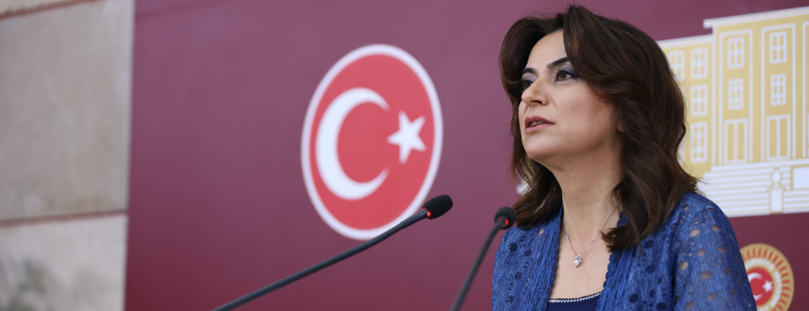 Koçyiğit: Tarım krizinin nedeni neoliberal politikalar ve Kürt sorununun çözümsüzlüğü