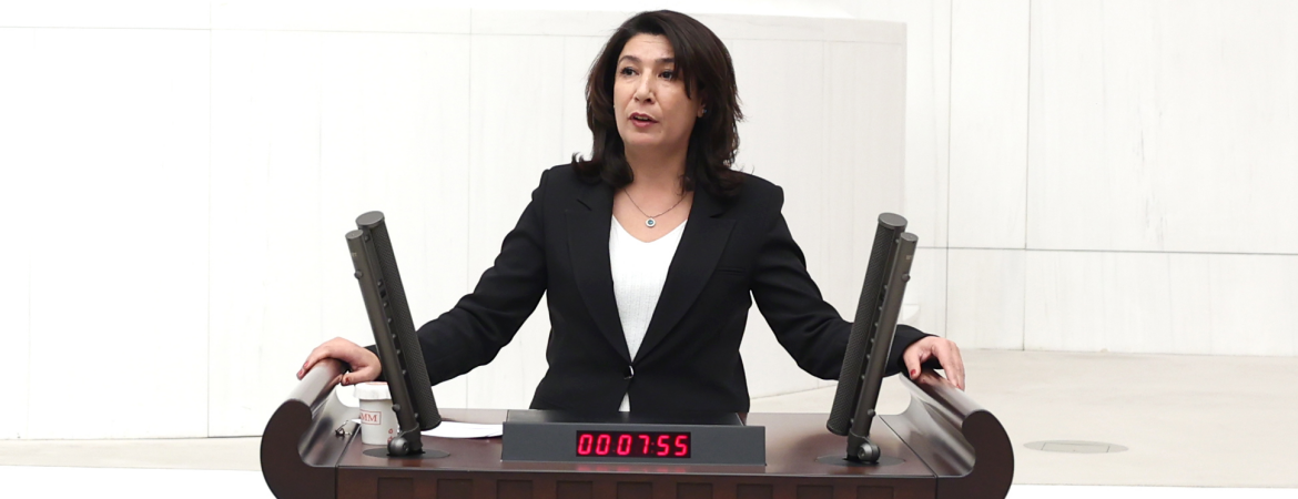 Türkoğlu: Kuzey ve Doğu Suriye’de kadınlar öncülüğünde inşa edilen yeni yaşam Türkiye için tehdit değildir