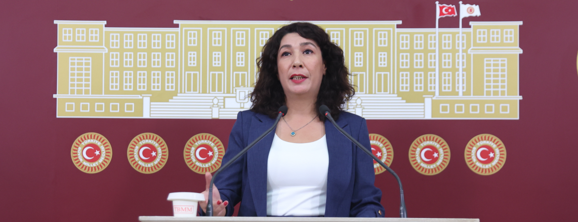 Halide Türkoğlu: Çekin ellerinizi 6284’ten; faili koruyan hiçbir pakete ve düzenlemeye izin vermeyeceğiz