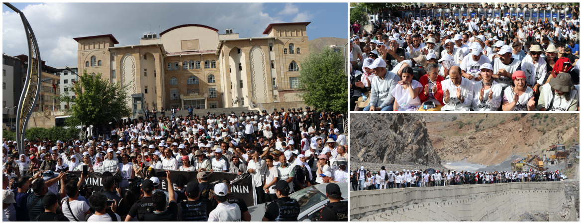 İradeye Saygı Yürüyüşü sona erdi: Kayyım geri çekilsin, Viyan Tekçe başkanvekili olarak atansın