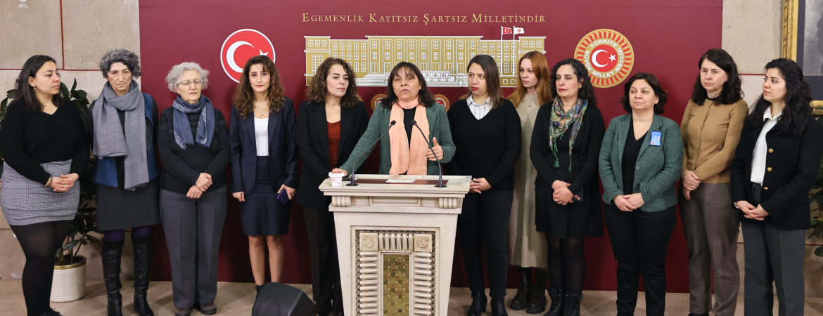 Kadın Meclisimiz: Kadını özne olarak görmeyen politikayı reddediyoruz