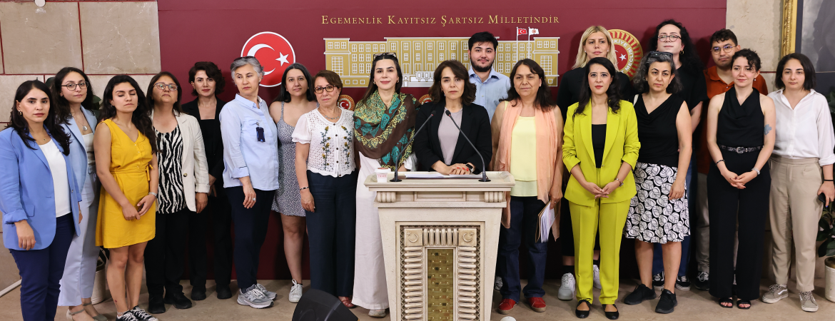 Kadın Meclisimiz: Kadına yönelik şiddetin temel sebeplerini görmeyen ve çözüm üretmekten uzak olan bu raporu reddediyoruz