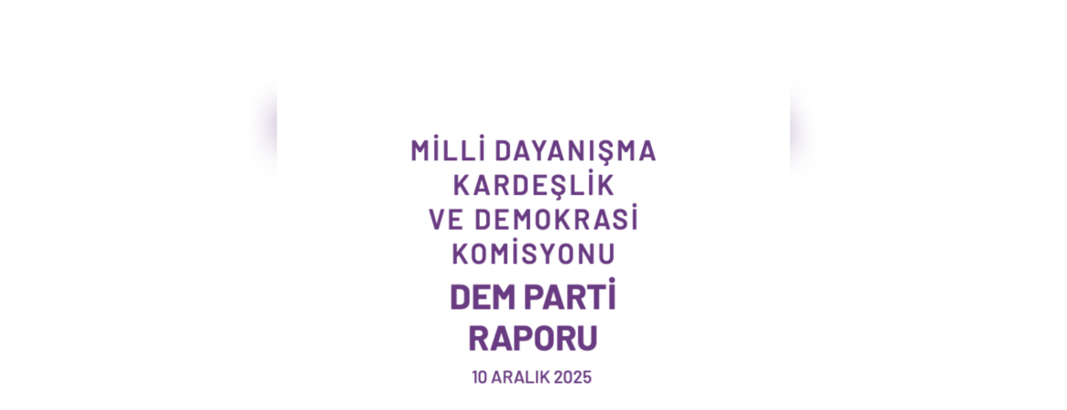Milli Dayanışma, Kardeşlik ve Demokrasi Komisyonu DEM Parti Raporu