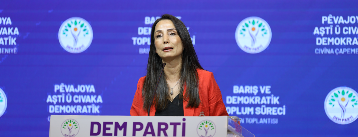 Hatimoğulları: Silahlar yanıyorsa hukuk ertelenemez, demokratik siyaset kriminalize edilemez