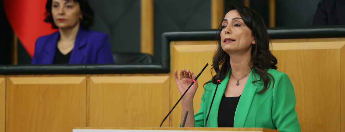 Hatimoğulları: Yeni dönemde DEM Parti ile barışı, adaleti ve demokrasiyi getirme mücadelemiz daha da yükselecek