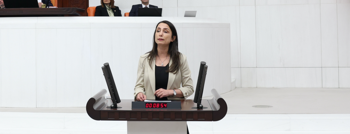 Hatimoğulları: Meclis Kürt sorununu çözme ve Türkiye’yi demokratikleştirme sorumluluğuyla karşı karşıyadır