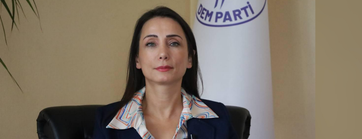 Hatimoğulları: Demokratik çözüm ilerlerse Türkiye’nin bütün siyasal düzeninde yeni bir eşik açılır