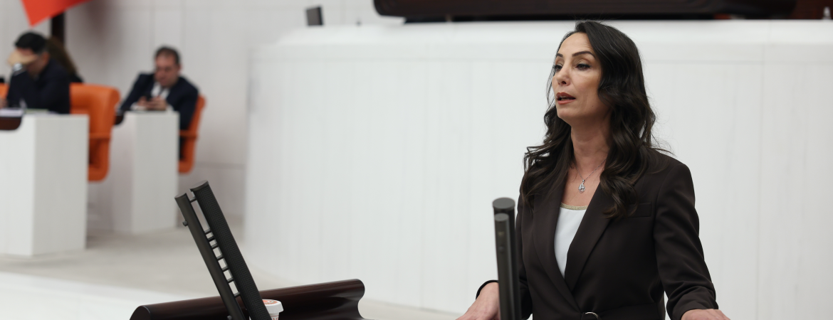 Hatimoğulları: Bu bütçe açlık ve sefaletle boğuşan, faturasını ödeyemeyen yurttaşın derdine deva olamaz