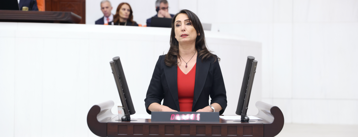 Hatimoğulları: İktidarın bütçesinde işçi, emekçi, yoksul, esnaf, çiftçi ve kadın yok; yandaşların, 5'li Çetenin kazancı var