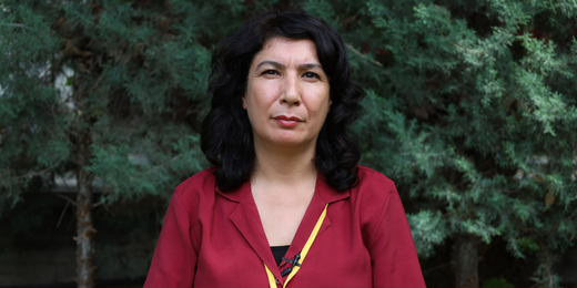 Halide Türkoğlu: Rahmi Koç’un söylemi ulus-devlet dilinin yansımasıdır
