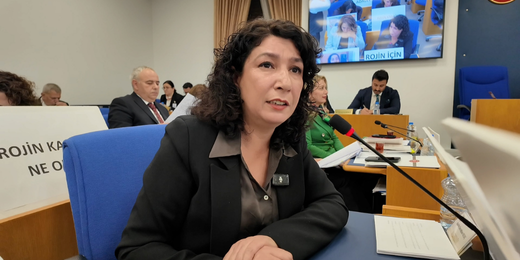 Halide Türkoğlu: Bütçe toplumsal cinsiyet eşitliğini güçlendirecek bir perspektifle hazırlanmalı