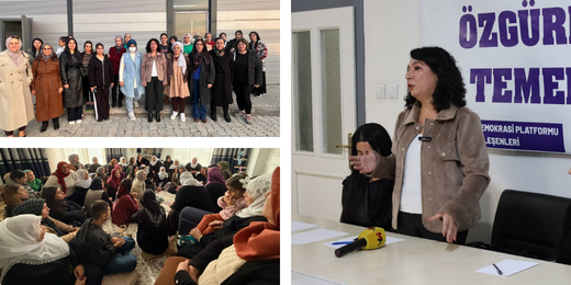 Kadın Meclisimiz Batman’da bir dizi buluşma gerçekleştirdi